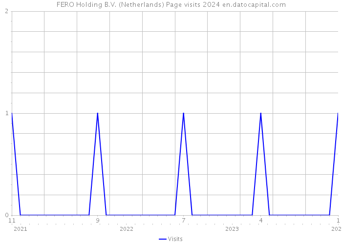 FERO Holding B.V. (Netherlands) Page visits 2024 