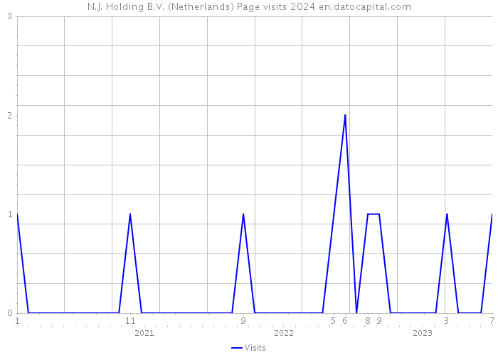 N.J. Holding B.V. (Netherlands) Page visits 2024 