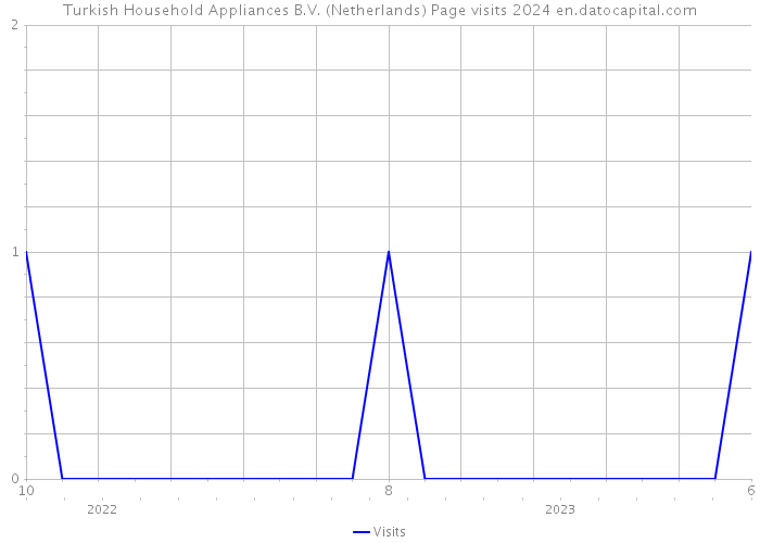 Turkish Household Appliances B.V. (Netherlands) Page visits 2024 