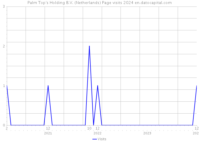 Palm Top's Holding B.V. (Netherlands) Page visits 2024 