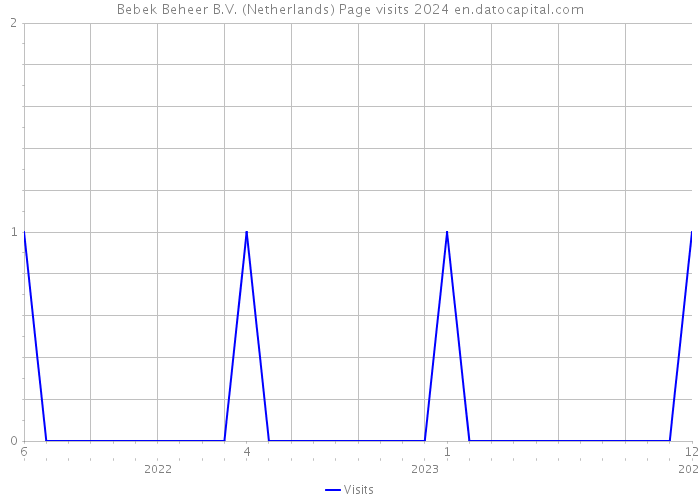 Bebek Beheer B.V. (Netherlands) Page visits 2024 
