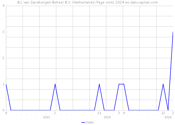 B.J. van Zandbergen Beheer B.V. (Netherlands) Page visits 2024 