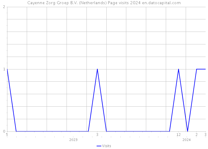 Cayenne Zorg Groep B.V. (Netherlands) Page visits 2024 