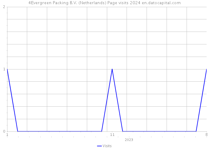 4Evergreen Packing B.V. (Netherlands) Page visits 2024 