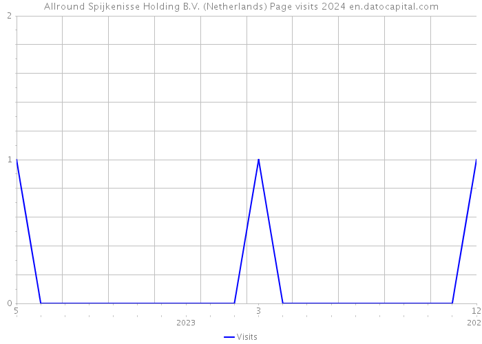 Allround Spijkenisse Holding B.V. (Netherlands) Page visits 2024 