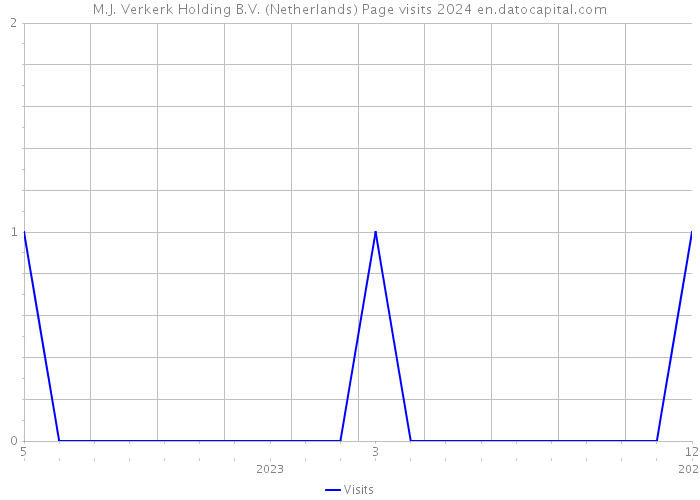 M.J. Verkerk Holding B.V. (Netherlands) Page visits 2024 