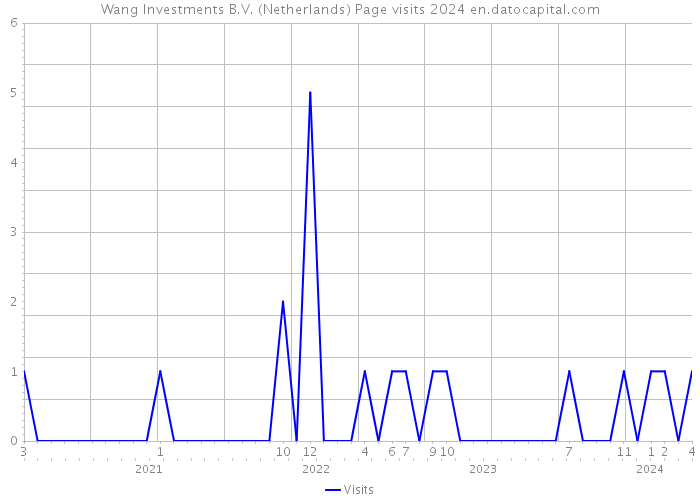 Wang Investments B.V. (Netherlands) Page visits 2024 