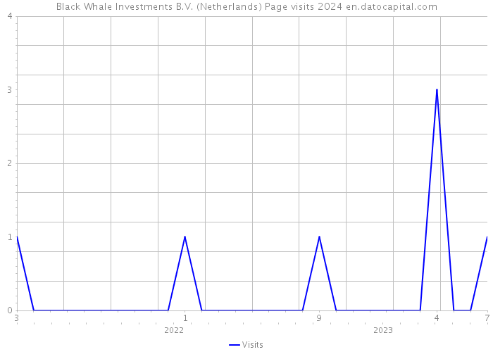 Black Whale Investments B.V. (Netherlands) Page visits 2024 