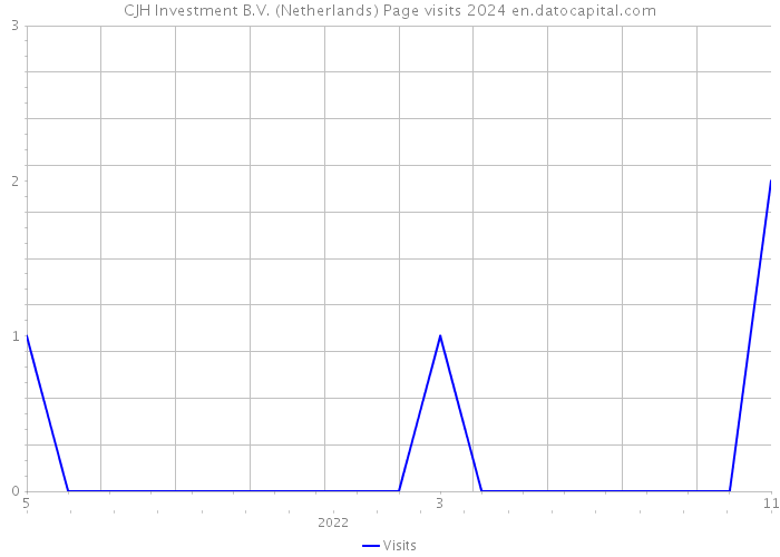 CJH Investment B.V. (Netherlands) Page visits 2024 