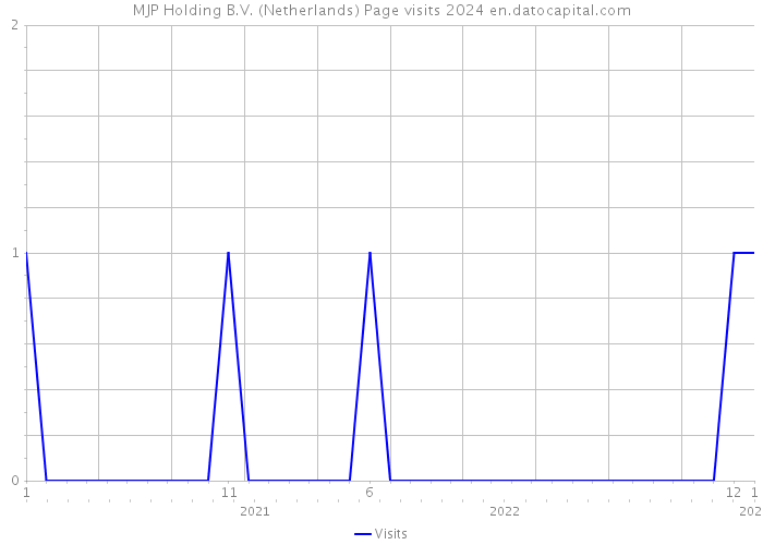 MJP Holding B.V. (Netherlands) Page visits 2024 