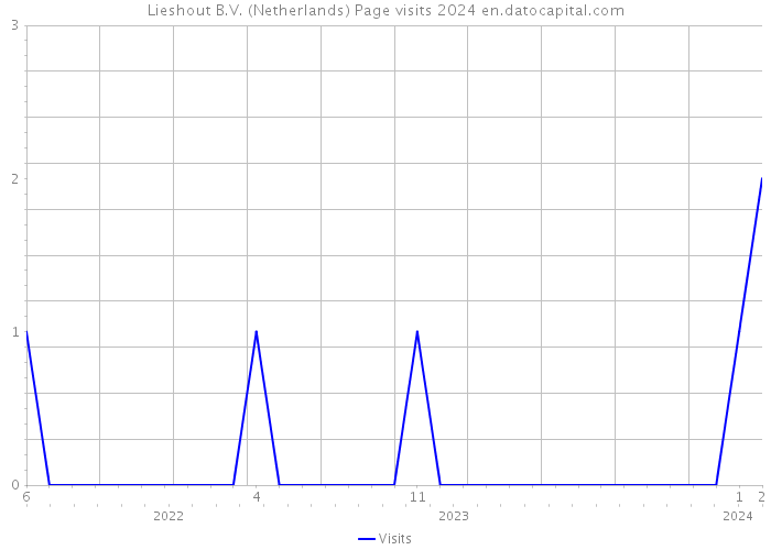 Lieshout B.V. (Netherlands) Page visits 2024 