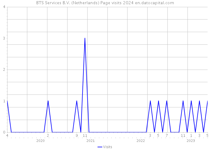 BTS Services B.V. (Netherlands) Page visits 2024 
