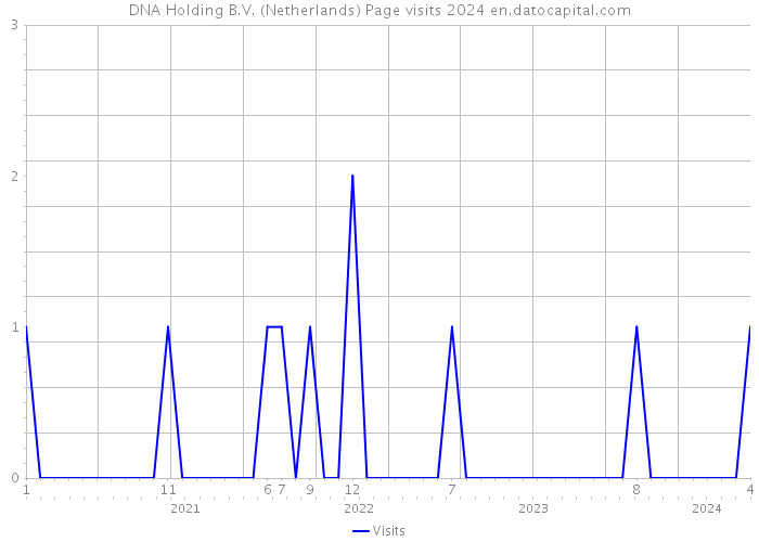 DNA Holding B.V. (Netherlands) Page visits 2024 