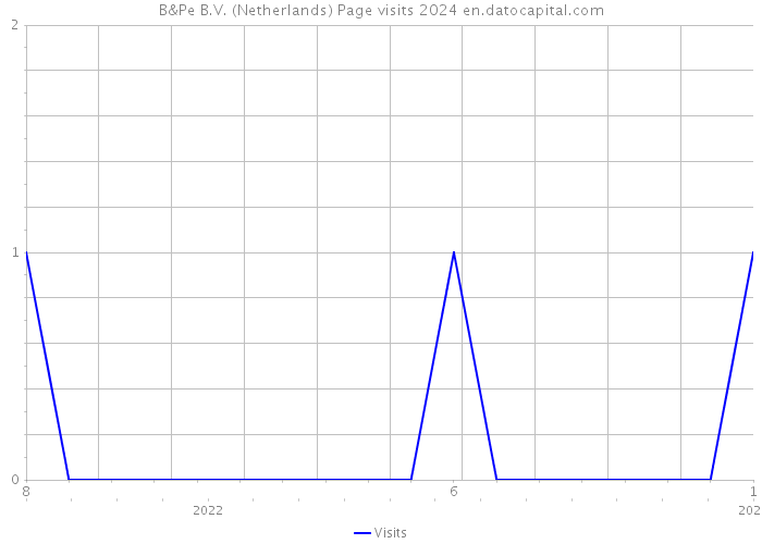B&Pe B.V. (Netherlands) Page visits 2024 