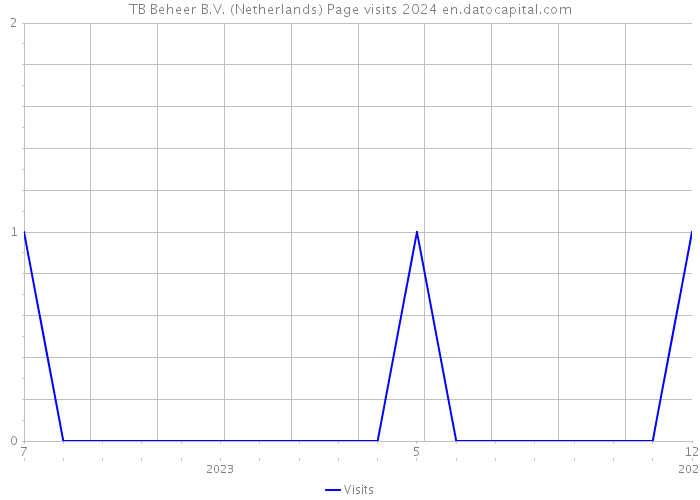 TB Beheer B.V. (Netherlands) Page visits 2024 