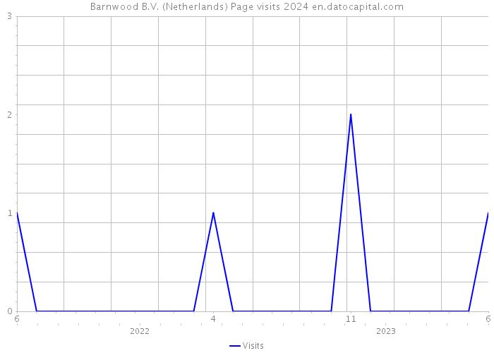 Barnwood B.V. (Netherlands) Page visits 2024 