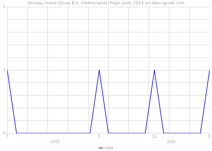 Norway Invest Group B.V. (Netherlands) Page visits 2024 