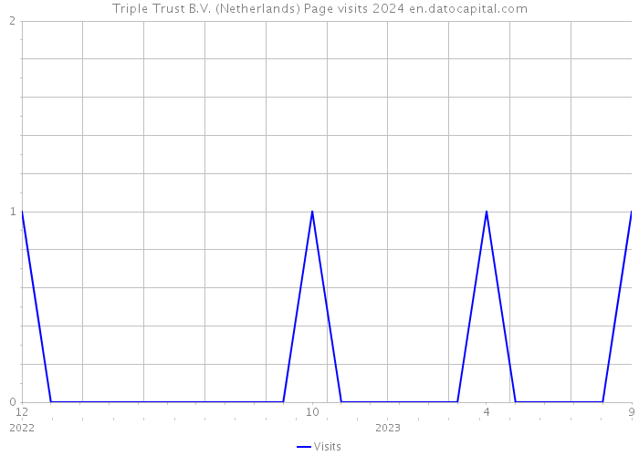 Triple Trust B.V. (Netherlands) Page visits 2024 