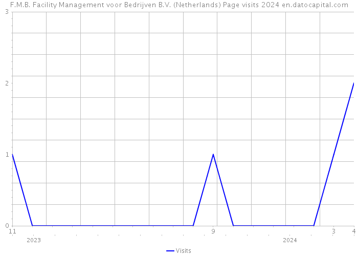 F.M.B. Facility Management voor Bedrijven B.V. (Netherlands) Page visits 2024 