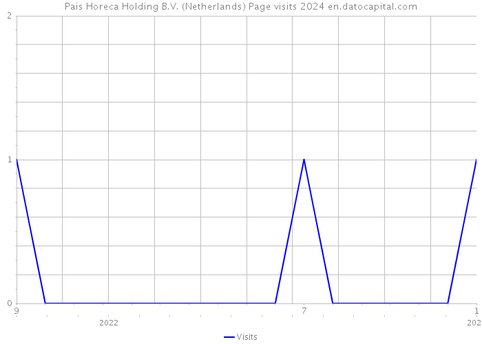 Pais Horeca Holding B.V. (Netherlands) Page visits 2024 
