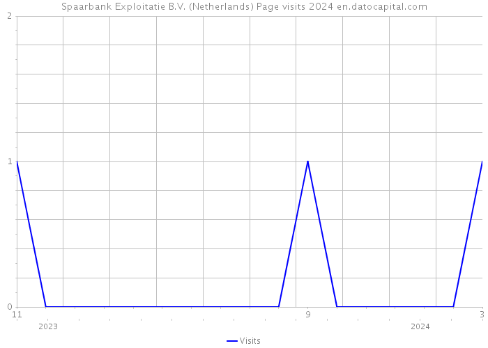 Spaarbank Exploitatie B.V. (Netherlands) Page visits 2024 