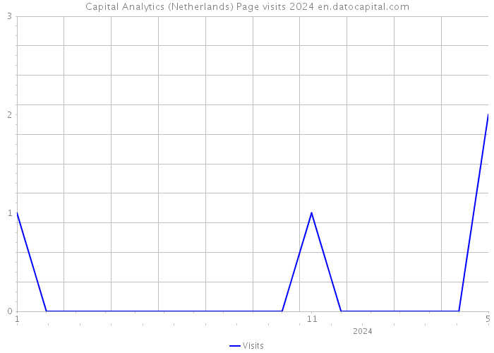 Capital Analytics (Netherlands) Page visits 2024 