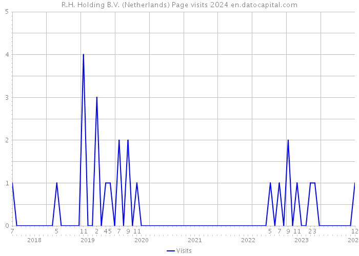 R.H. Holding B.V. (Netherlands) Page visits 2024 