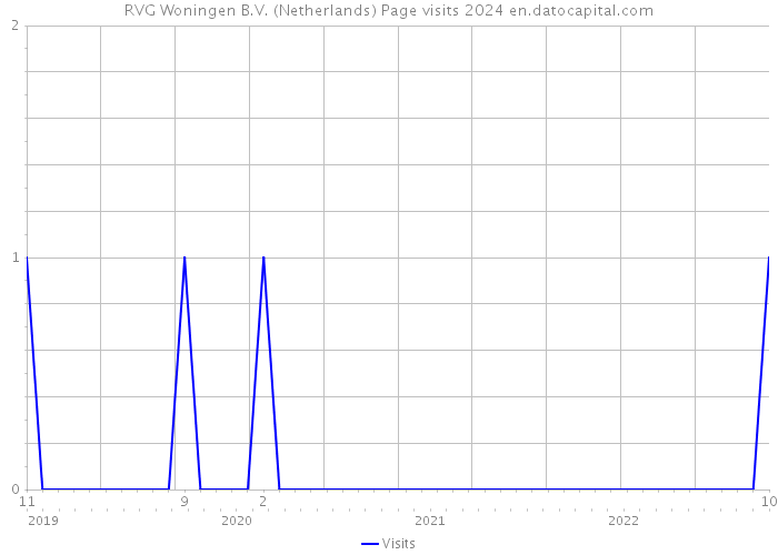 RVG Woningen B.V. (Netherlands) Page visits 2024 