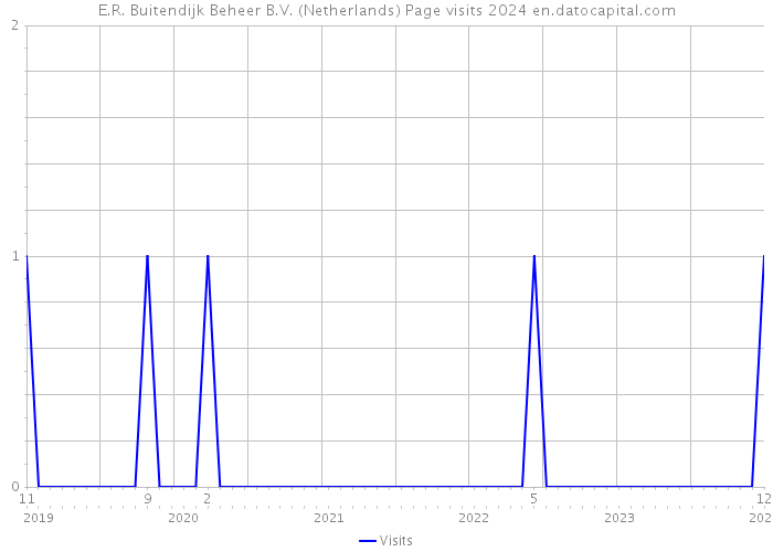E.R. Buitendijk Beheer B.V. (Netherlands) Page visits 2024 
