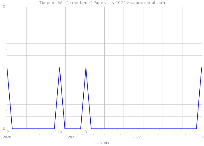 Tiago de Wit (Netherlands) Page visits 2024 