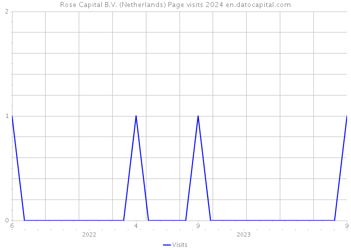 Rose Capital B.V. (Netherlands) Page visits 2024 