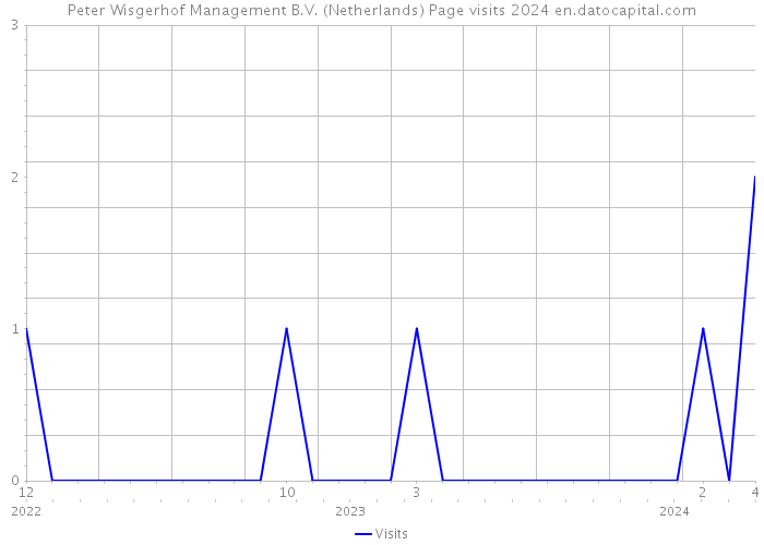 Peter Wisgerhof Management B.V. (Netherlands) Page visits 2024 