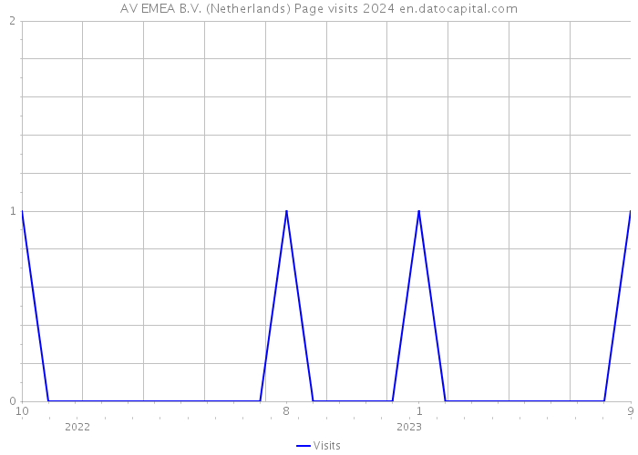 AV EMEA B.V. (Netherlands) Page visits 2024 