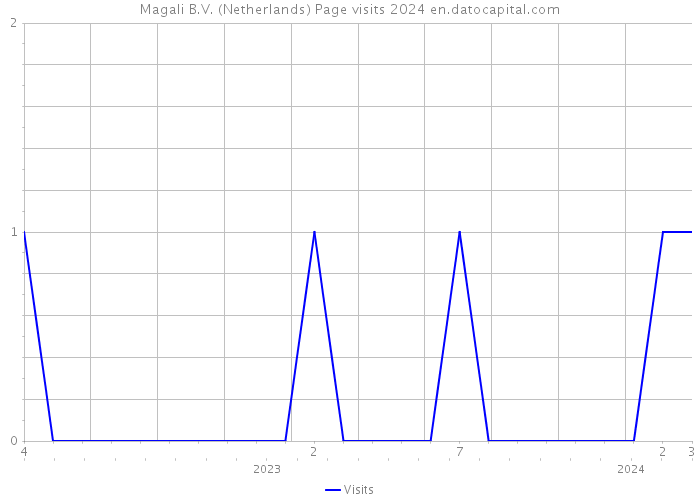 Magali B.V. (Netherlands) Page visits 2024 