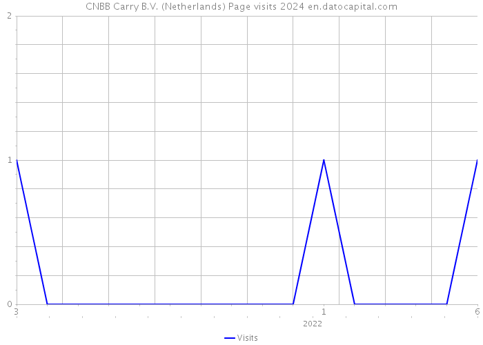 CNBB Carry B.V. (Netherlands) Page visits 2024 