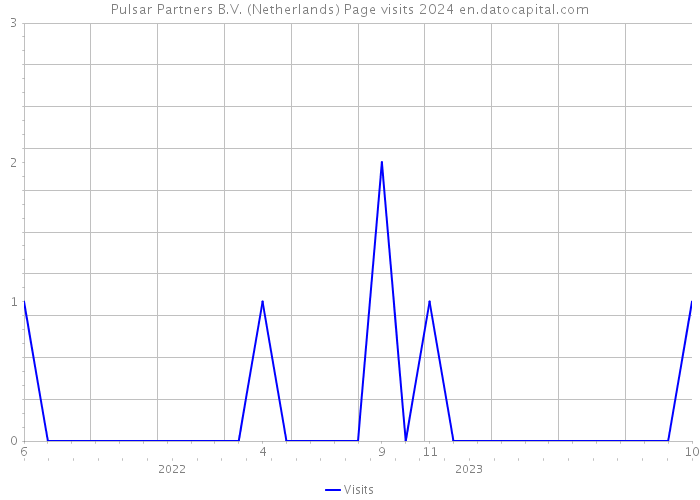 Pulsar Partners B.V. (Netherlands) Page visits 2024 