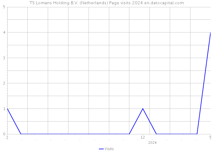TS Lomans Holding B.V. (Netherlands) Page visits 2024 