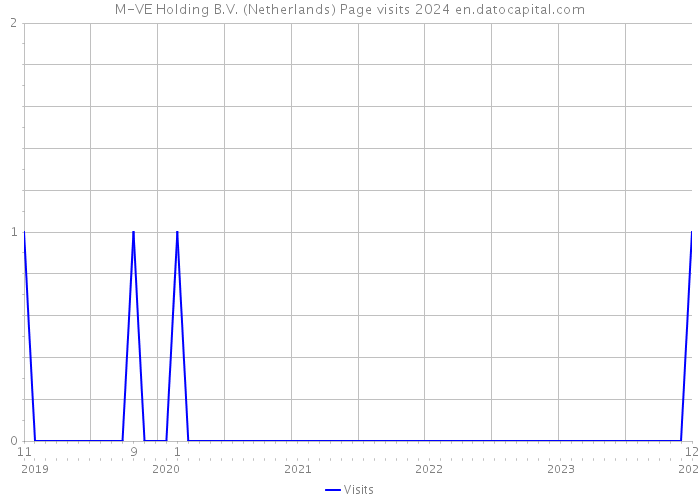 M-VE Holding B.V. (Netherlands) Page visits 2024 