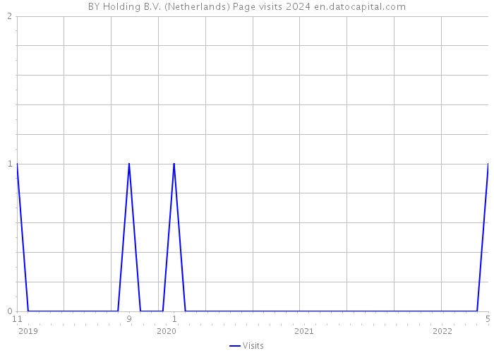 BY Holding B.V. (Netherlands) Page visits 2024 
