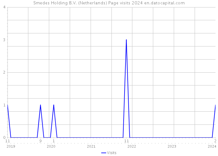 Smedes Holding B.V. (Netherlands) Page visits 2024 