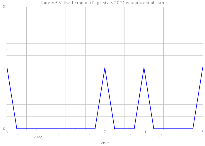 Karem B.V. (Netherlands) Page visits 2024 