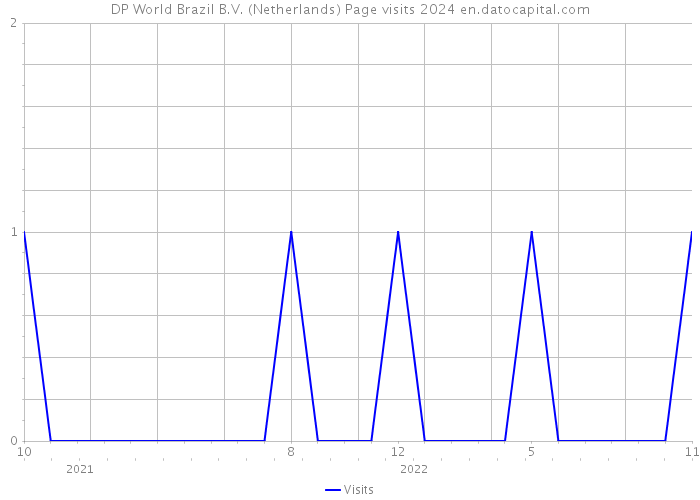 DP World Brazil B.V. (Netherlands) Page visits 2024 