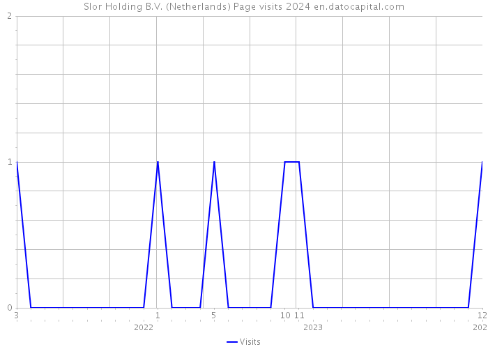 Slor Holding B.V. (Netherlands) Page visits 2024 