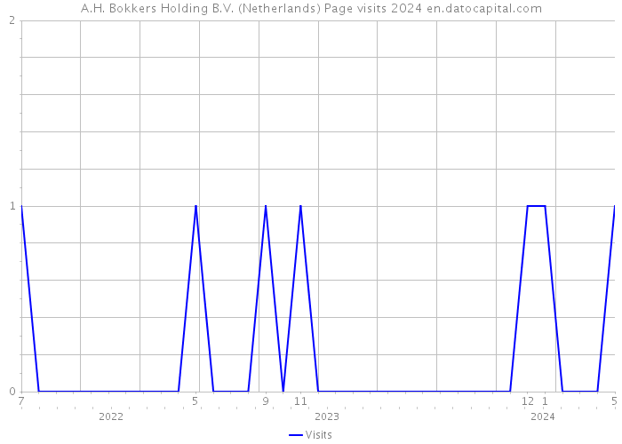 A.H. Bokkers Holding B.V. (Netherlands) Page visits 2024 
