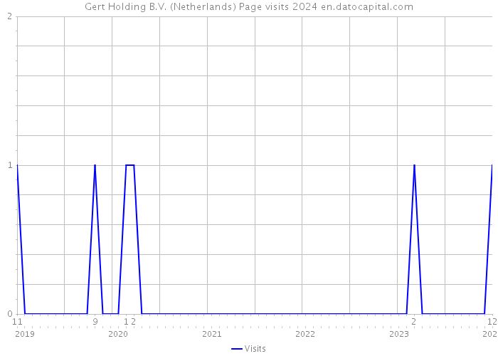 Gert Holding B.V. (Netherlands) Page visits 2024 