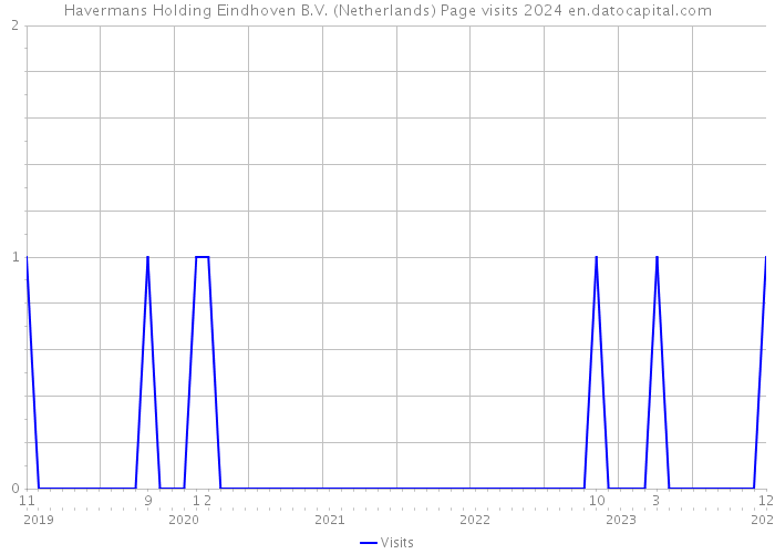 Havermans Holding Eindhoven B.V. (Netherlands) Page visits 2024 