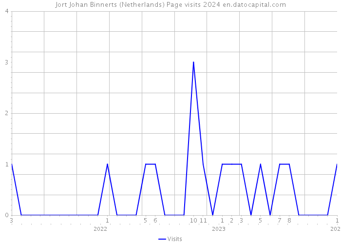 Jort Johan Binnerts (Netherlands) Page visits 2024 