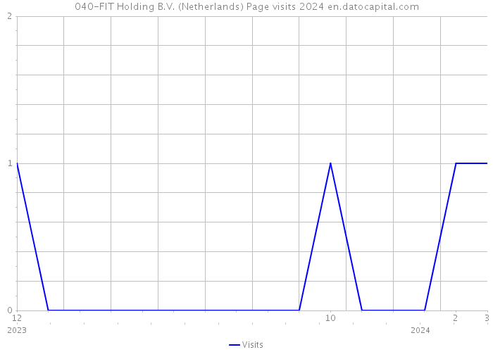040-FIT Holding B.V. (Netherlands) Page visits 2024 