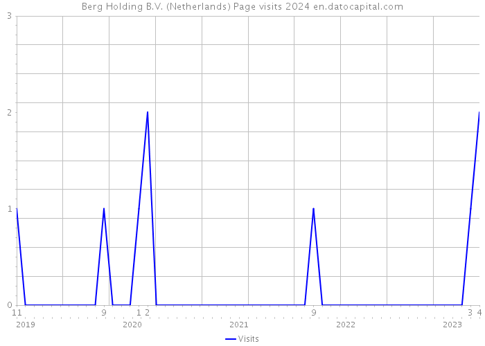 Berg Holding B.V. (Netherlands) Page visits 2024 