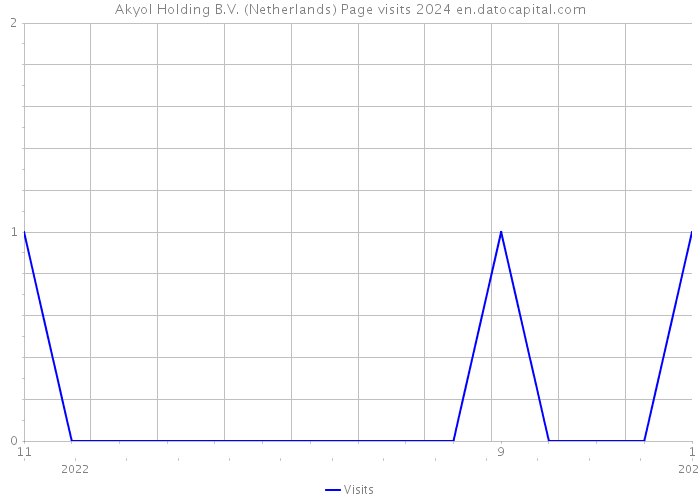 Akyol Holding B.V. (Netherlands) Page visits 2024 